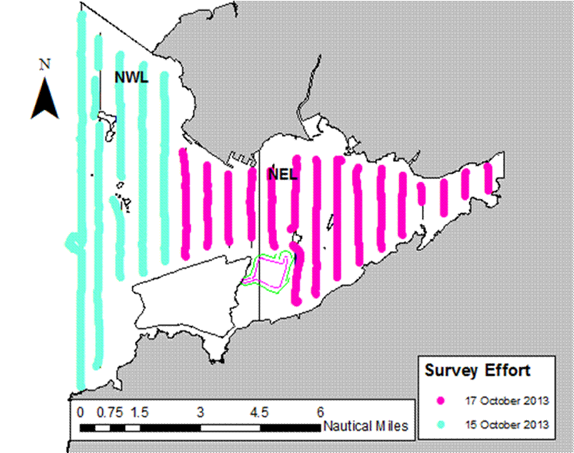Survey Effort 15th and 17th October 2013.png
