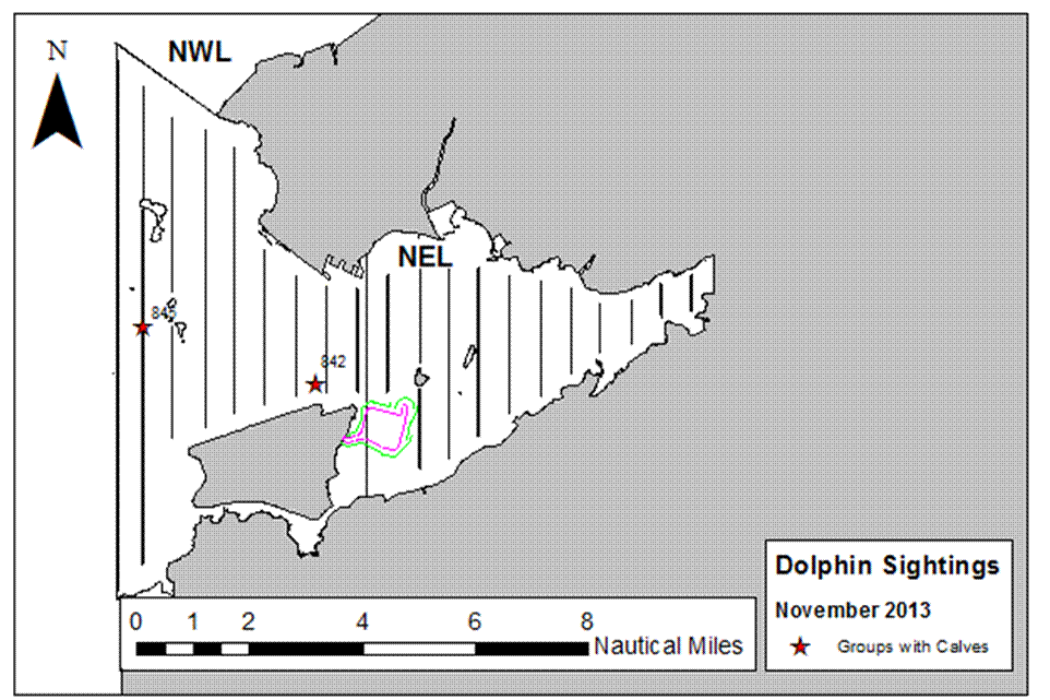 Dolphin Sightings with Calves Nov 2013.png