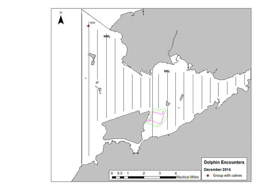 Calf map v2.png