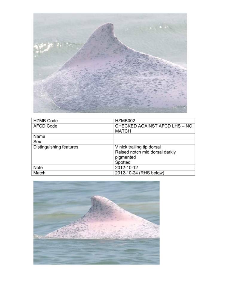 App_H Dolphin monitoring.pdf_35.jpg