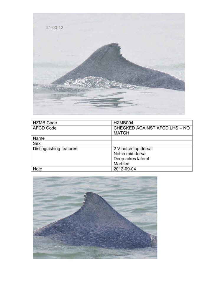 App_H Dolphin monitoring.pdf_36.jpg