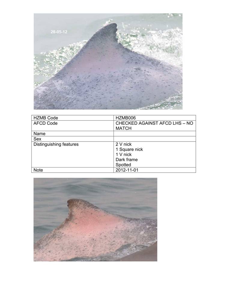 App_H Dolphin monitoring.pdf_37.jpg