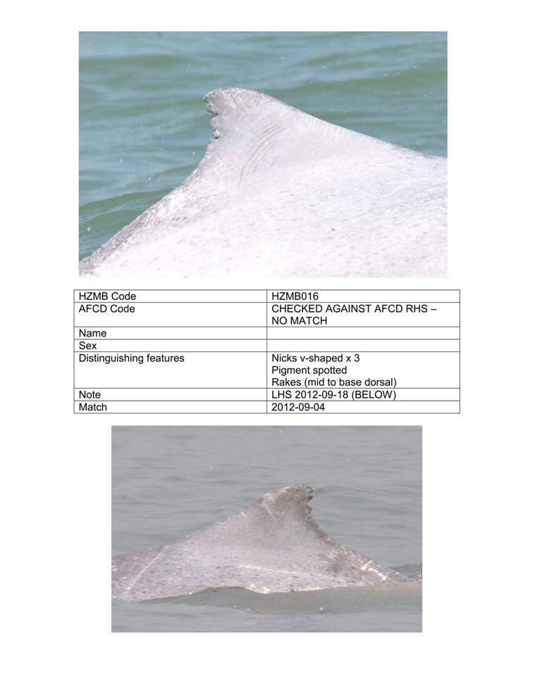 App_H Dolphin monitoring.pdf_40.jpg