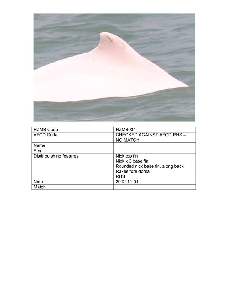 App_H Dolphin monitoring.pdf_41.jpg