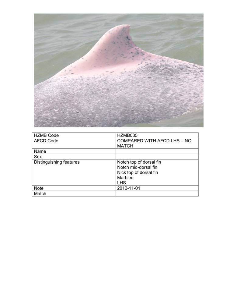 App_H Dolphin monitoring.pdf_42.jpg