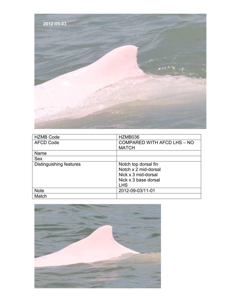 App_H Dolphin monitoring.pdf_43.jpg