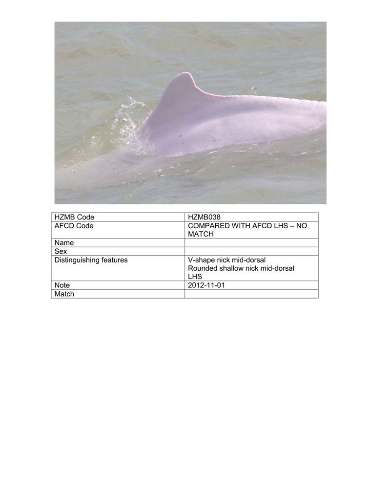 App_H Dolphin monitoring.pdf_45.jpg