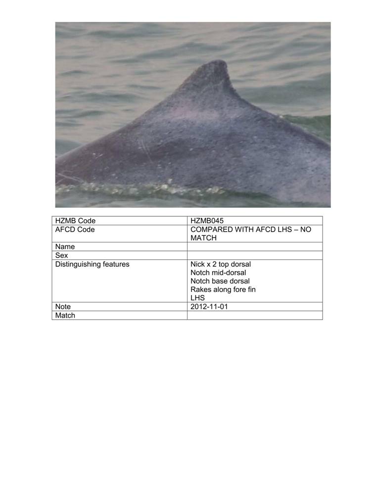 App_H Dolphin monitoring.pdf_51.jpg