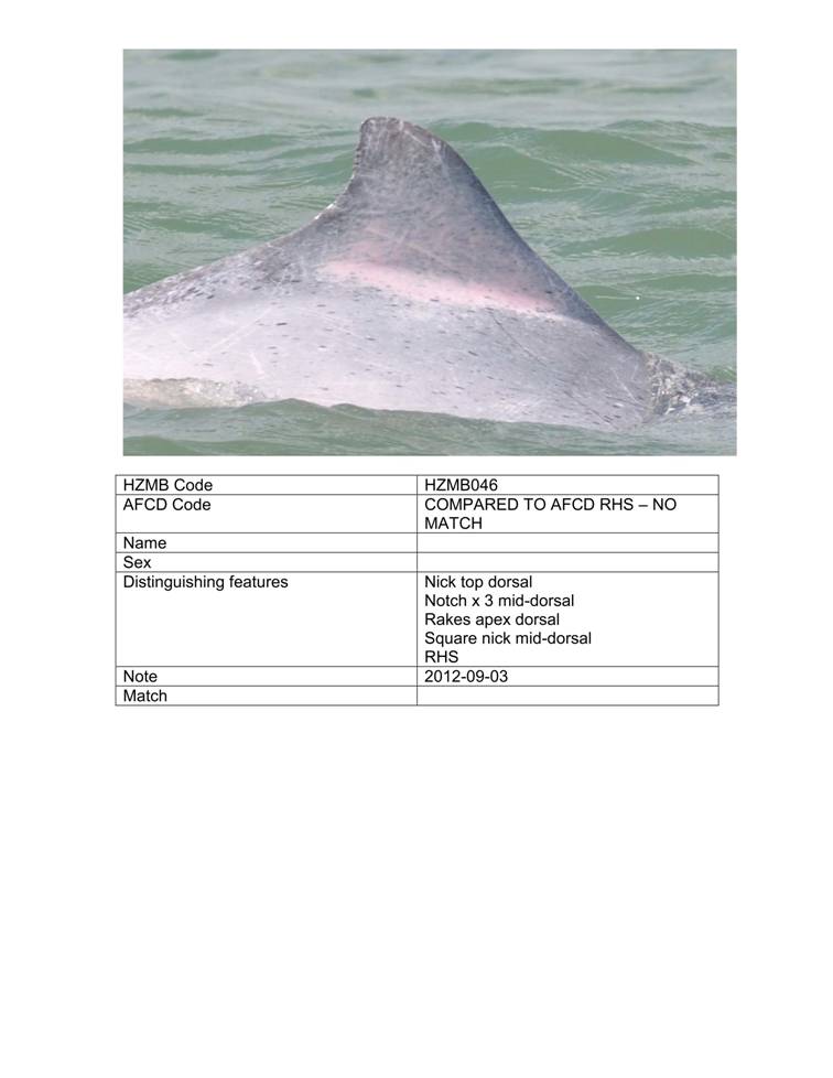 App_H Dolphin monitoring.pdf_52.jpg