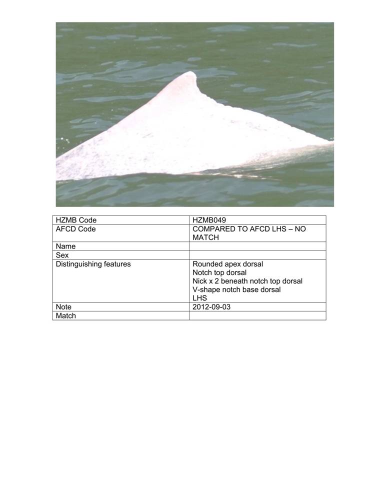App_H Dolphin monitoring.pdf_55.jpg
