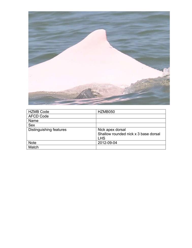 App_H Dolphin monitoring.pdf_56.jpg