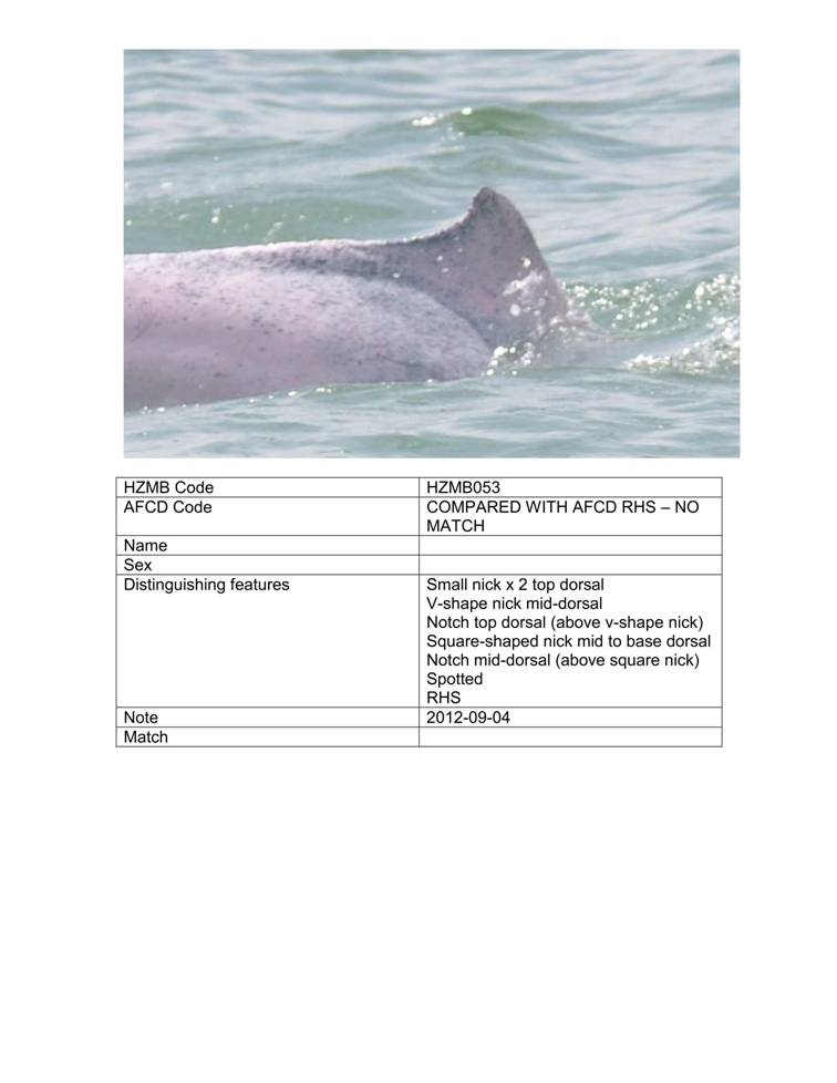 App_H Dolphin monitoring.pdf_59.jpg