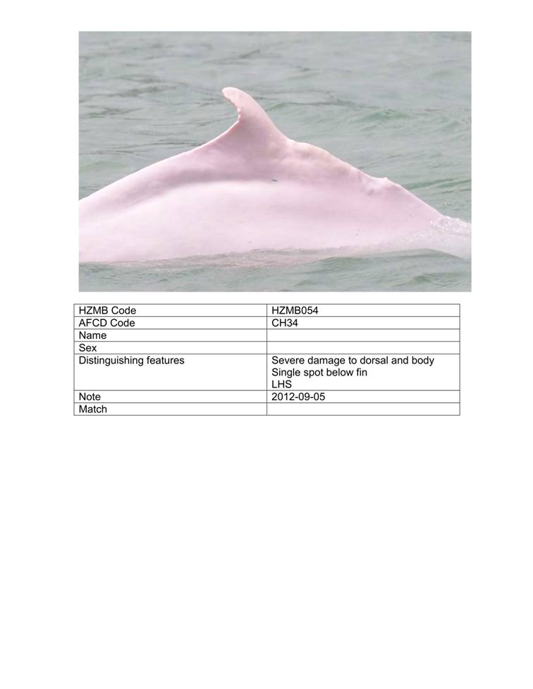 App_H Dolphin monitoring.pdf_60.jpg