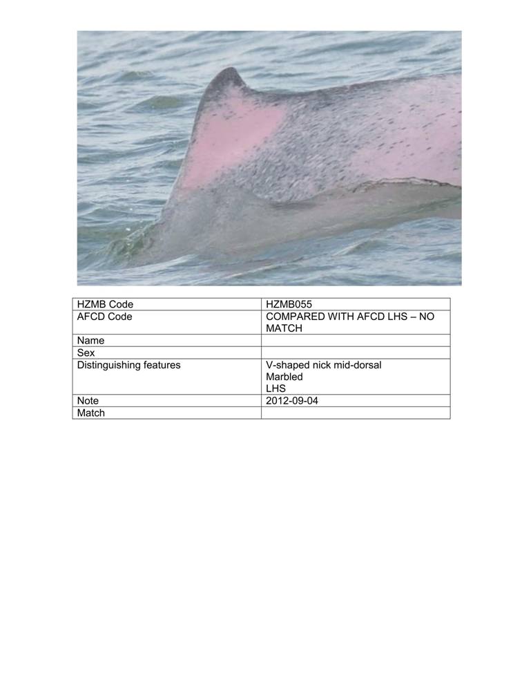 App_H Dolphin monitoring.pdf_61.jpg