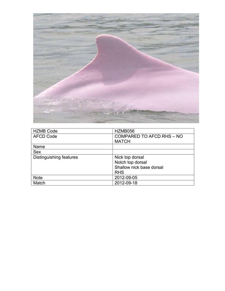 App_H Dolphin monitoring.pdf_62.jpg
