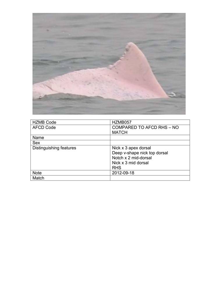 App_H Dolphin monitoring.pdf_63.jpg