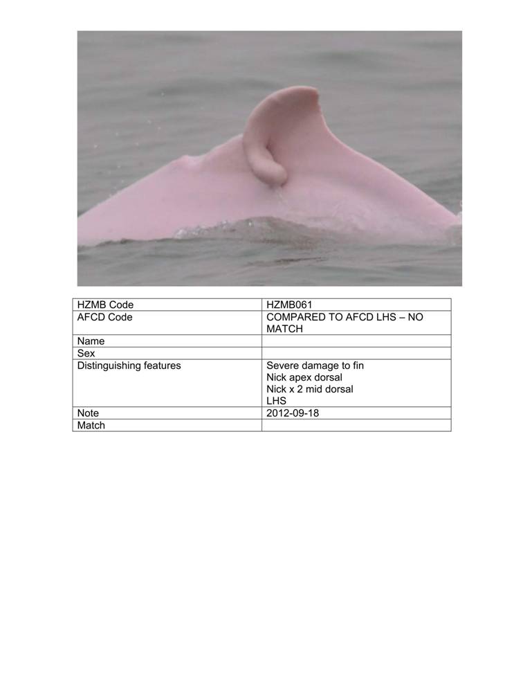 App_H Dolphin monitoring.pdf_66.jpg