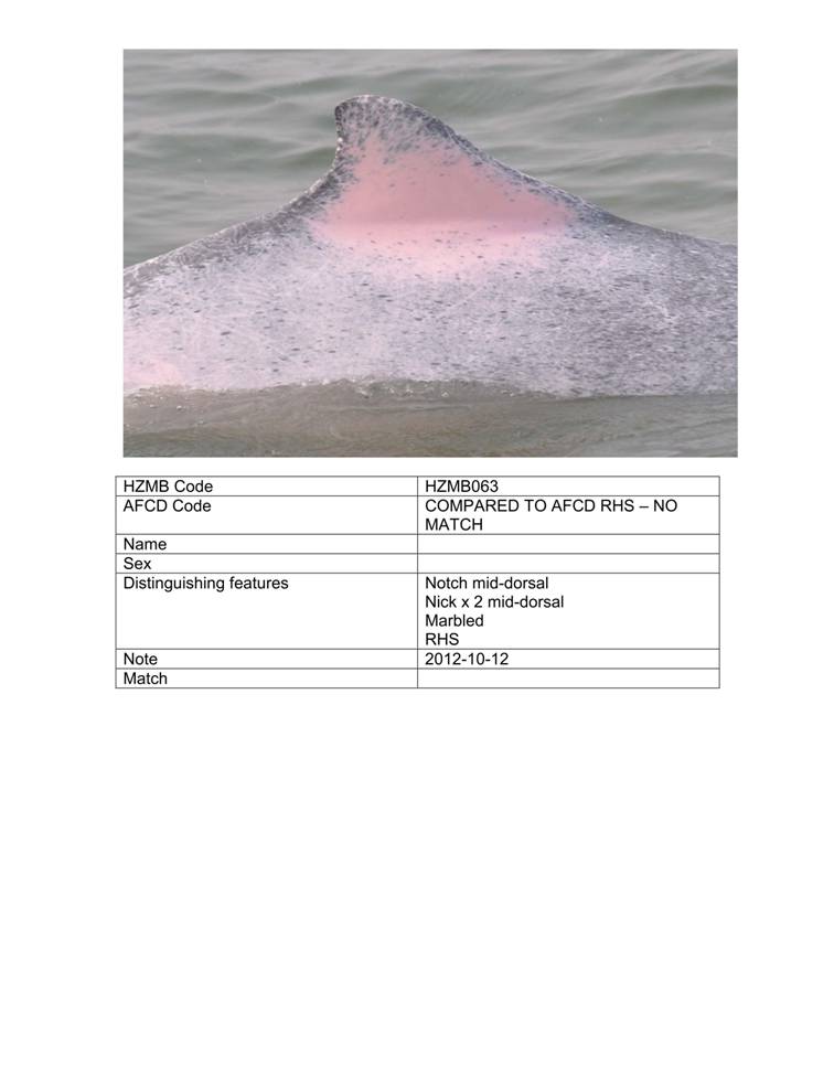 App_H Dolphin monitoring.pdf_68.jpg