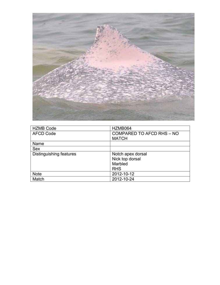 App_H Dolphin monitoring.pdf_69.jpg