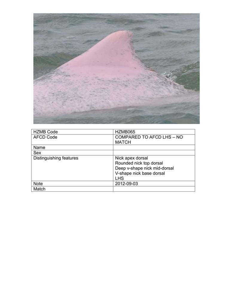 App_H Dolphin monitoring.pdf_70.jpg