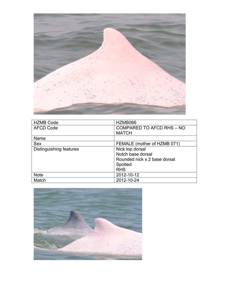App_H Dolphin monitoring.pdf_71.jpg