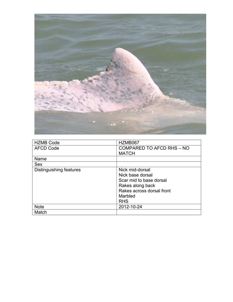 App_H Dolphin monitoring.pdf_72.jpg