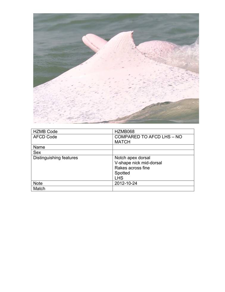 App_H Dolphin monitoring.pdf_73.jpg