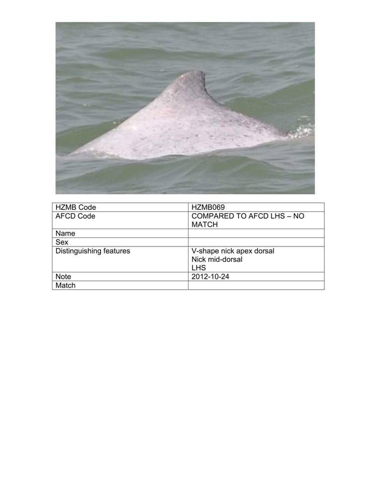 App_H Dolphin monitoring.pdf_74.jpg