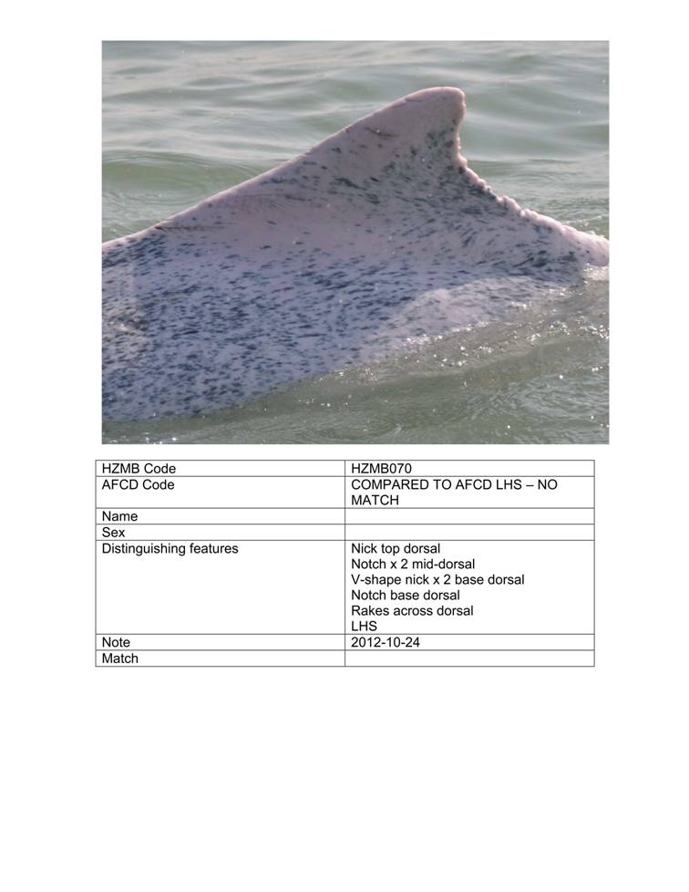 App_H Dolphin monitoring.pdf_75.jpg