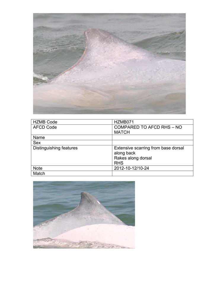 App_H Dolphin monitoring.pdf_76.jpg