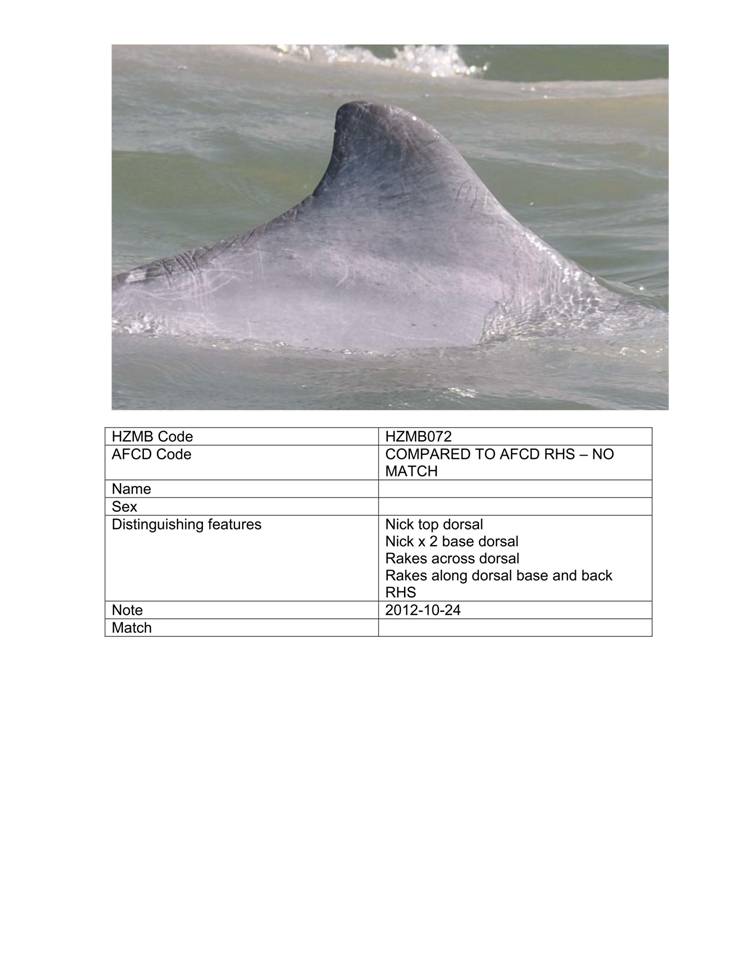App_H Dolphin monitoring.pdf_77.jpg