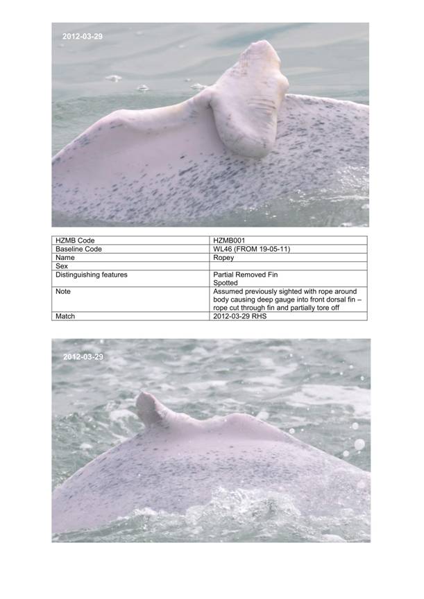 App H Dolphin Monitoring.pdf_040.jpg
