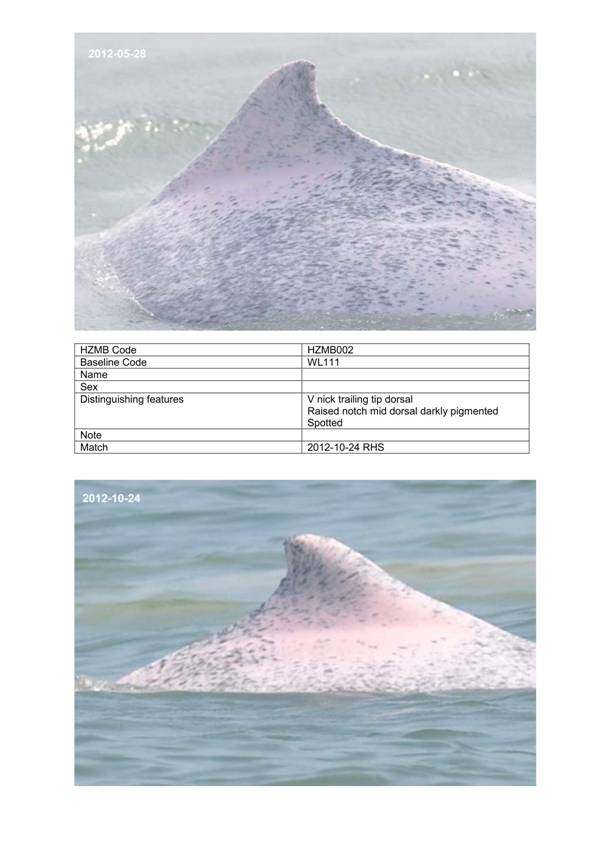 App H Dolphin Monitoring.pdf_042.jpg