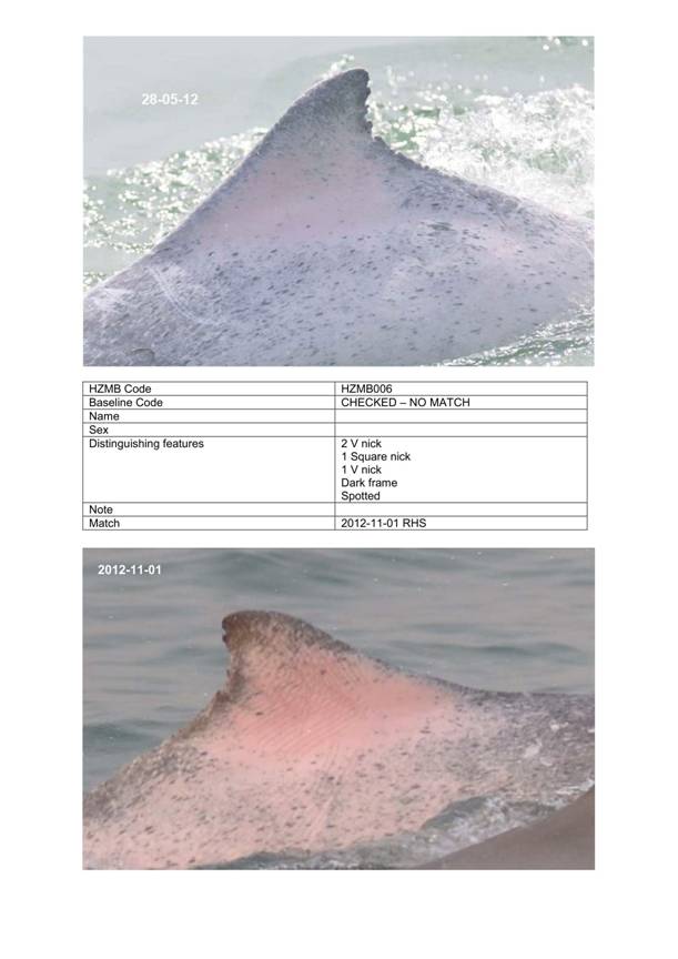 App H Dolphin Monitoring.pdf_048.jpg