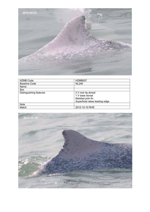 App H Dolphin Monitoring.pdf_050.jpg