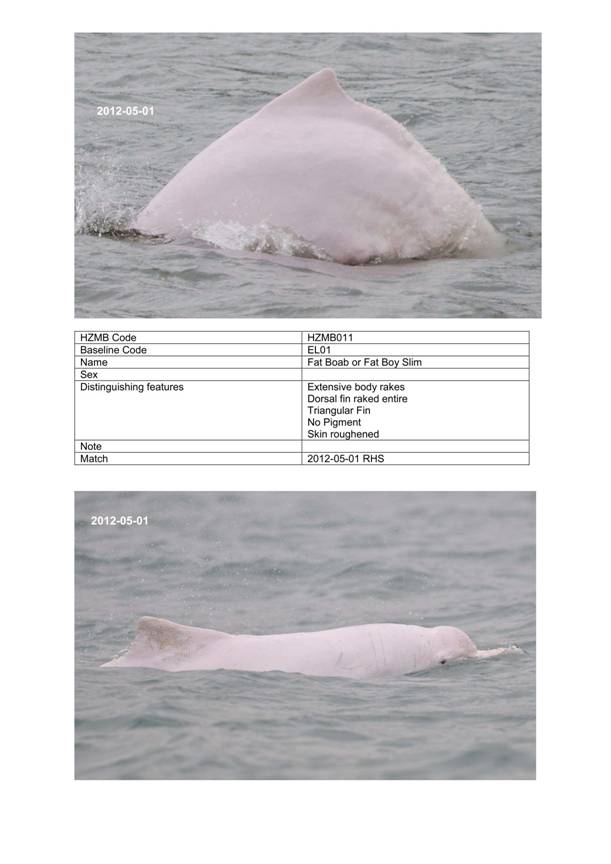 App H Dolphin Monitoring.pdf_052.jpg