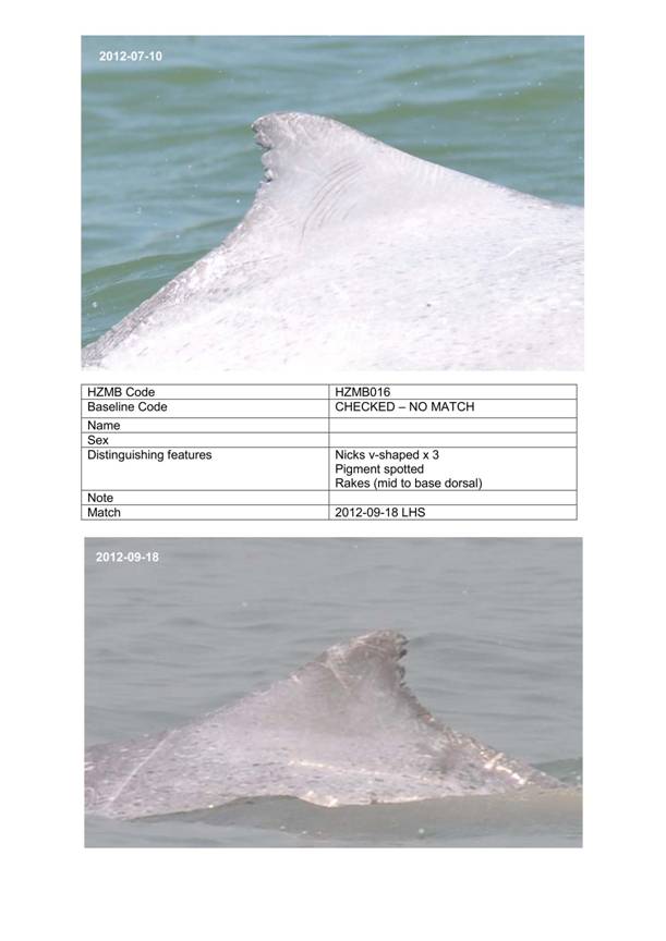 App H Dolphin Monitoring.pdf_055.jpg