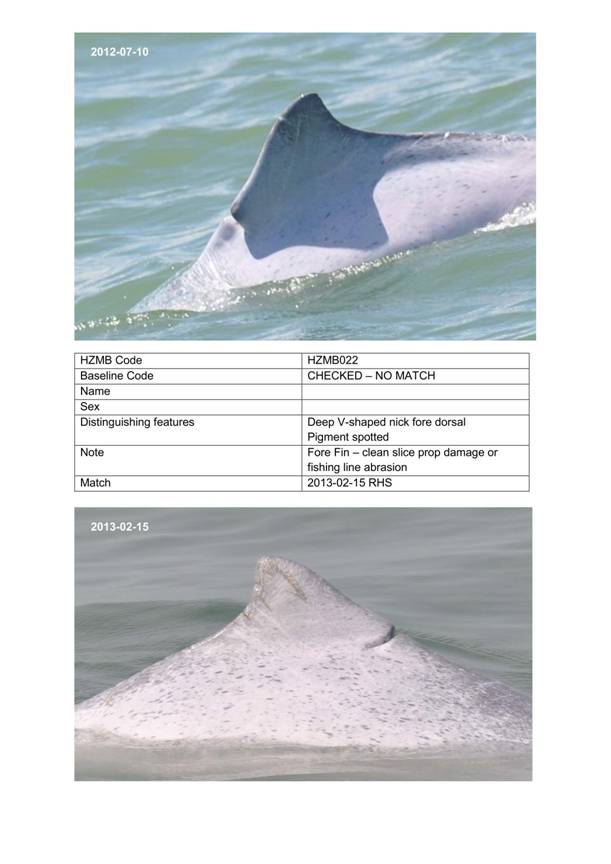 App H Dolphin Monitoring.pdf_060.jpg