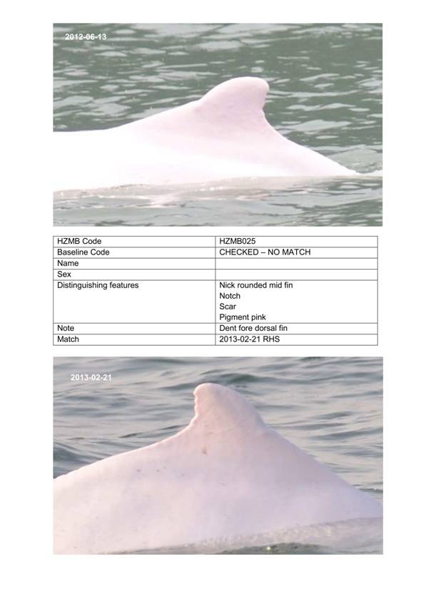 App H Dolphin Monitoring.pdf_064.jpg