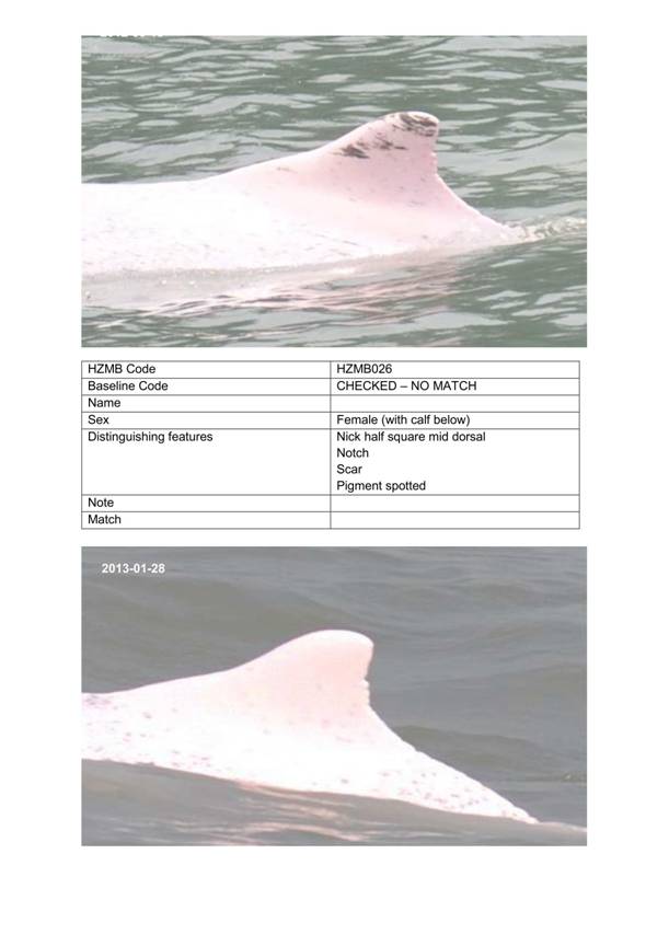 App H Dolphin Monitoring.pdf_066.jpg