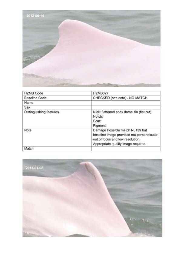 App H Dolphin Monitoring.pdf_068.jpg