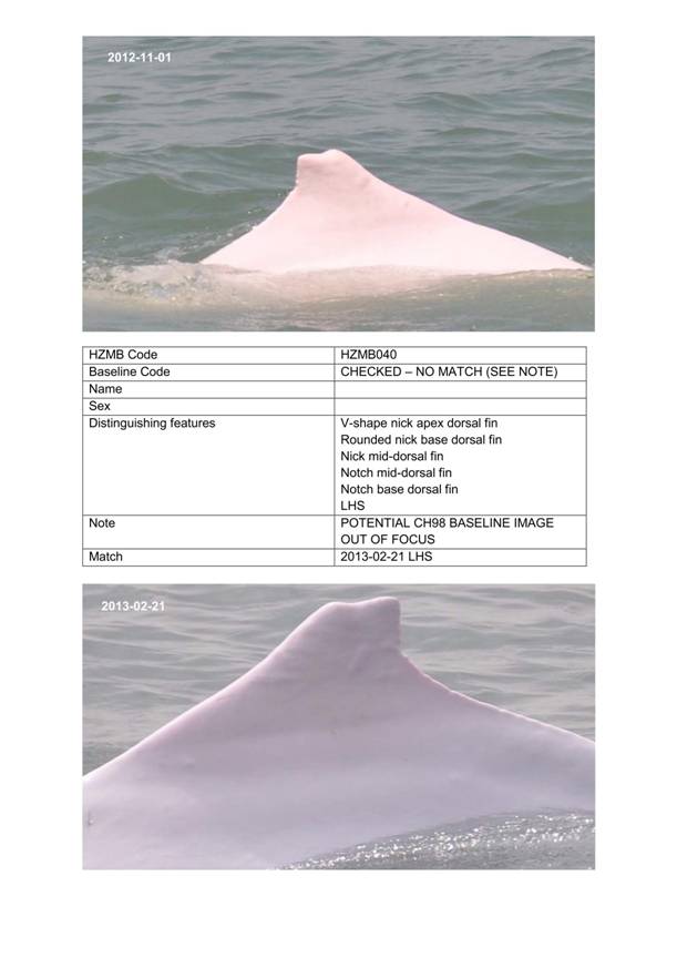 App H Dolphin Monitoring.pdf_072.jpg