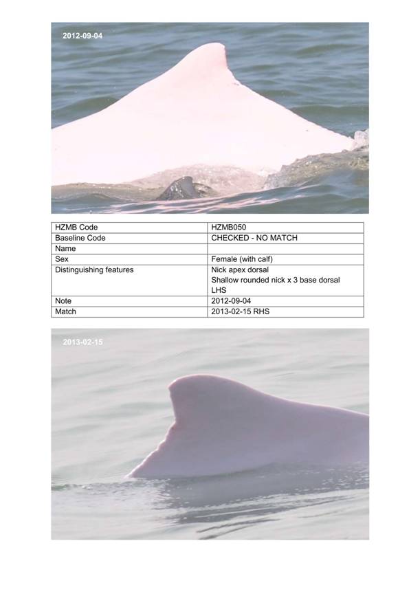 App H Dolphin Monitoring.pdf_079.jpg