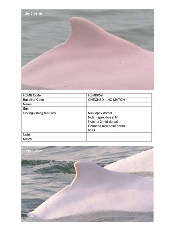 App H Dolphin Monitoring.pdf_083.jpg