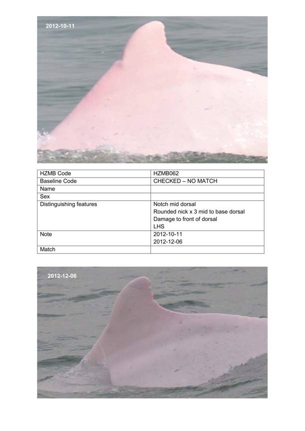 App H Dolphin Monitoring.pdf_084.jpg