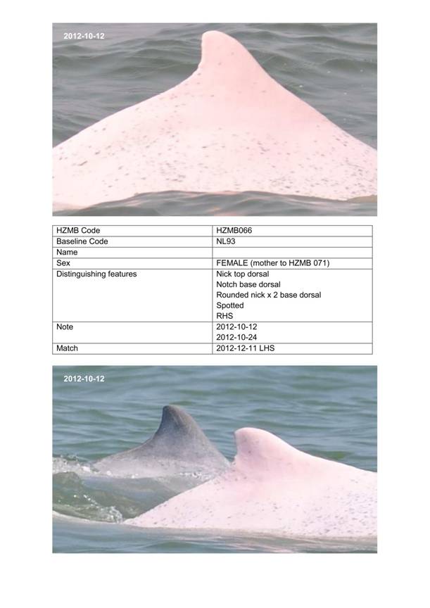 App H Dolphin Monitoring.pdf_086.jpg