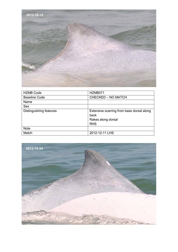 App H Dolphin Monitoring.pdf_088.jpg