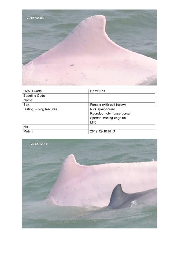App H Dolphin Monitoring.pdf_090.jpg
