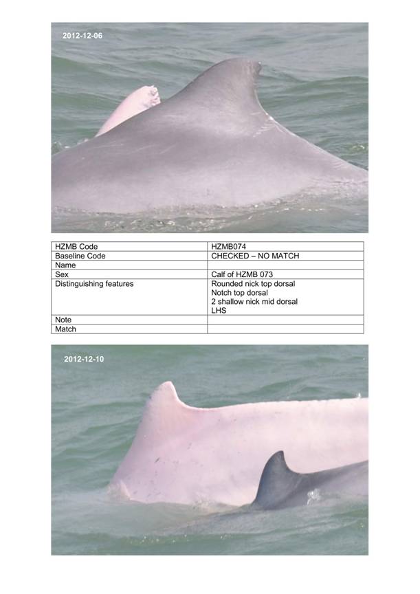 App H Dolphin Monitoring.pdf_092.jpg
