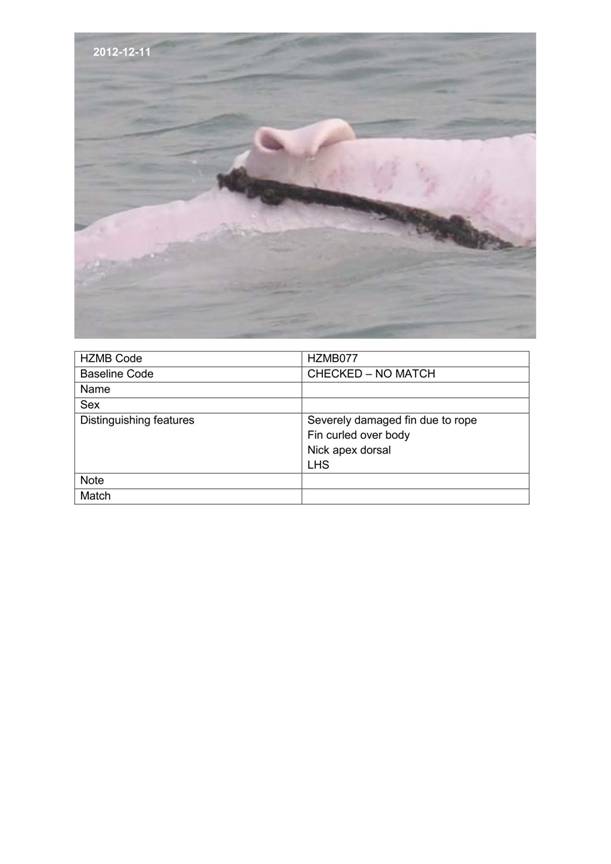 App H Dolphin Monitoring.pdf_096.jpg
